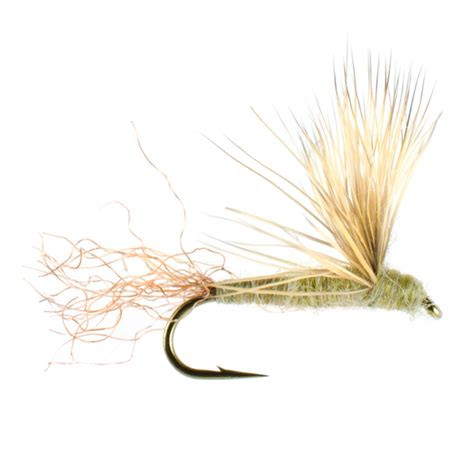 Dry Fly .
